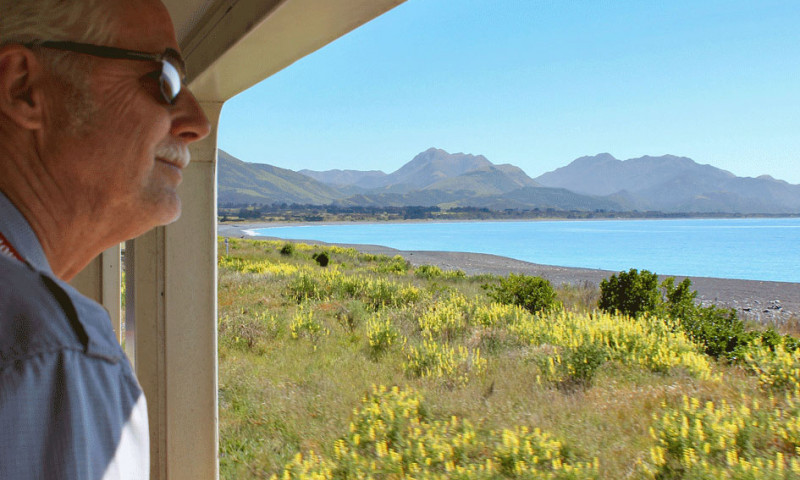 Man looking out of Coastal Pacific at Kiakoura
