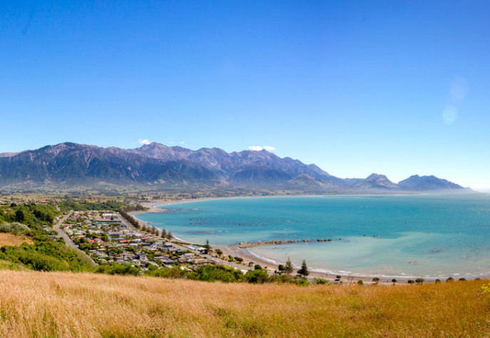 SP Kaikoura Peninsula Lookout one of the top things to do in Kaikoura 730x504
