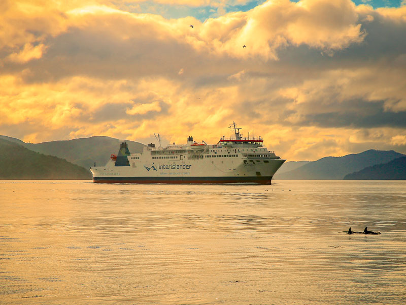 Earn Nautical Miles Dollars when you sail with Interislander