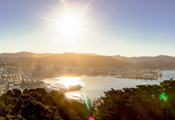 Looking over Wellington at Sunset from Mount Victoria