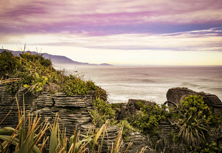 Explore New Zealand's West Coast on this epic TranzAlpine package