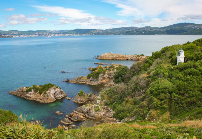 Somes Island 730x504