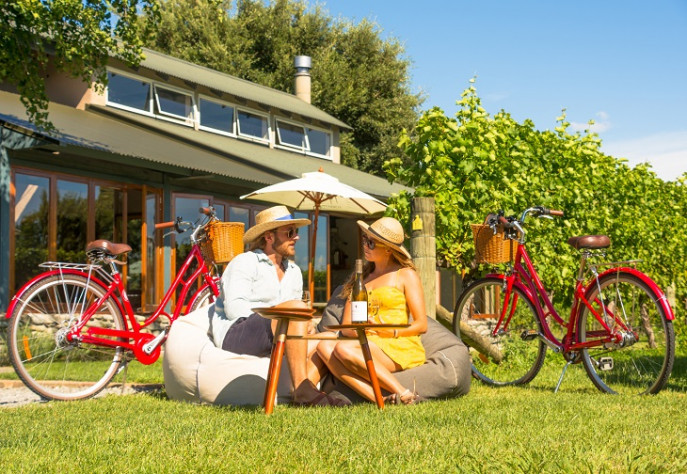 Vineyard Biking 730x504