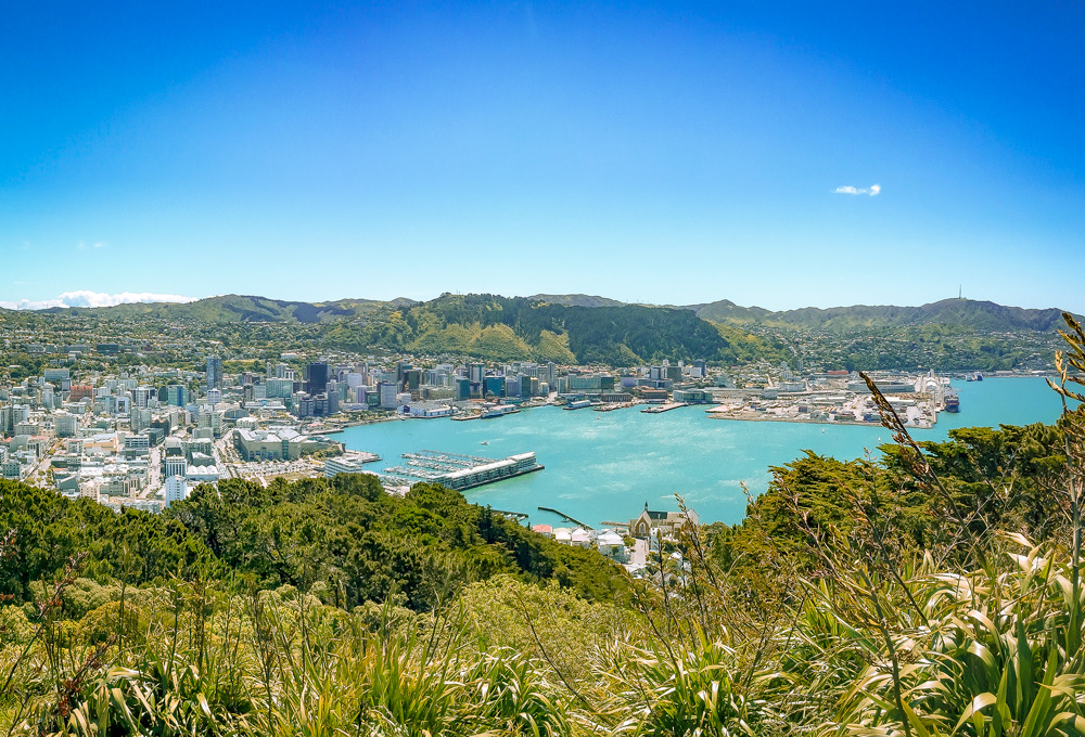 Wellington View from Mount Victoria 1000x680 4