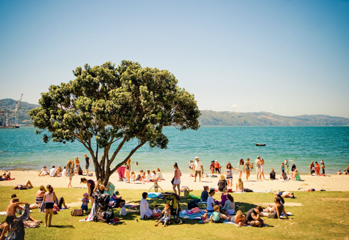 oriental bay beach shady tree 730x504