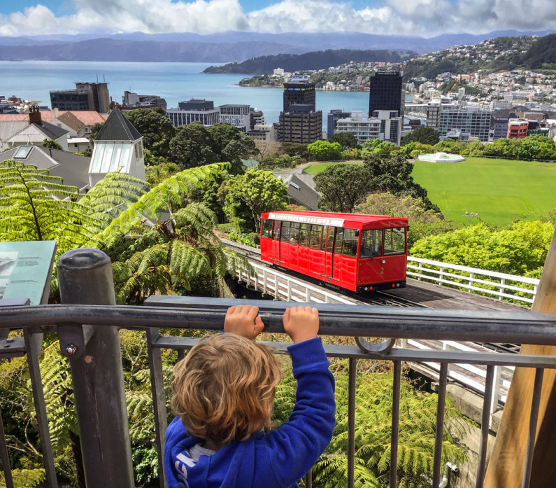 Wellington watching the cable car