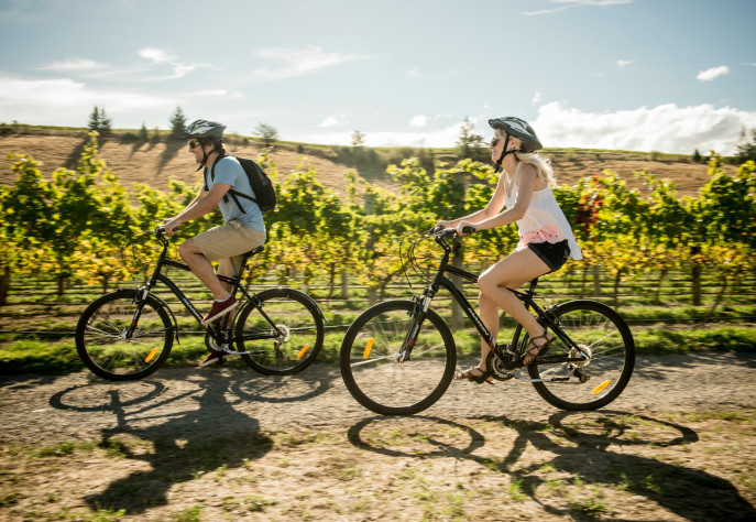 DM S F bike winery couple 160