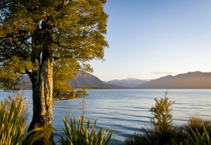 lake brunner from waters edge Explorer West Coast Snippet 730x504