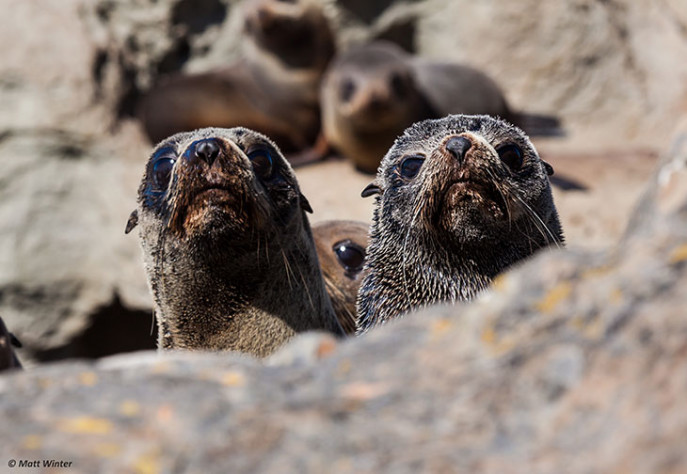 Family Fun in Kaikoura PS