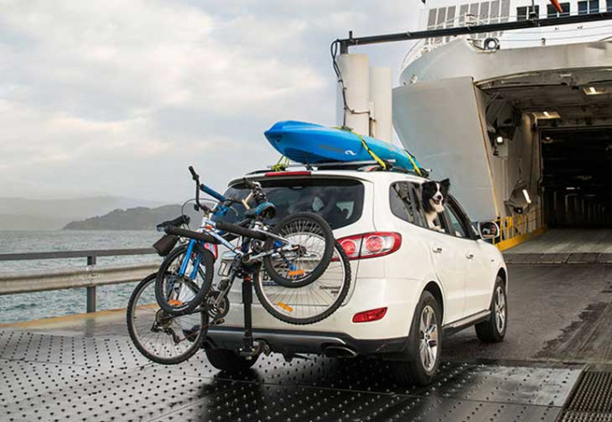 Interislander Sailing Update Page Snippet