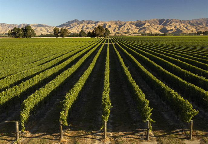 Marlborough Wineries Blog